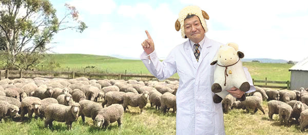 夏休みの研究旅行】ウールマイスター『ひつじくん』に訊く！まだまだ