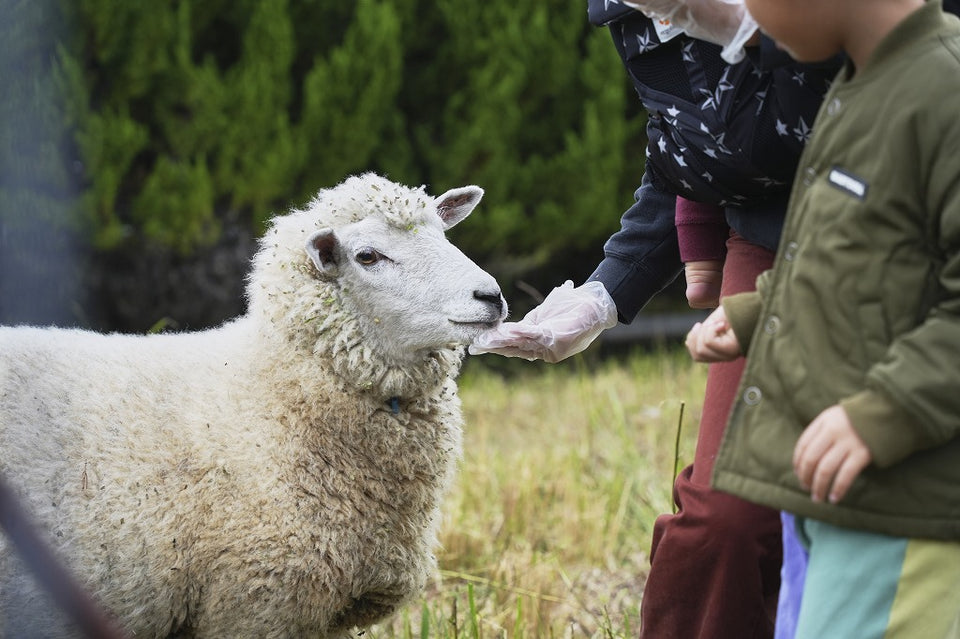 あつまれ、ひつじの森！ ～かわいいひつじさんのいるエリアに入場できます🐑～ 参加チケット 【ひつじサミット尾州 2026】