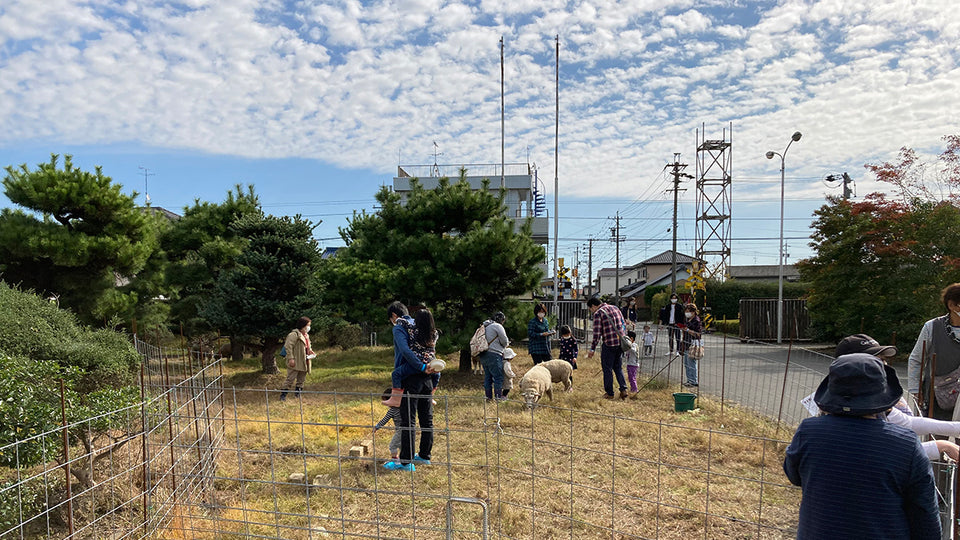 あつまれ、ひつじの森！ ～かわいいひつじさんと触れ合おう。無料エサやり体験も🐑～ 参加チケット 【ひつじサミット尾州】